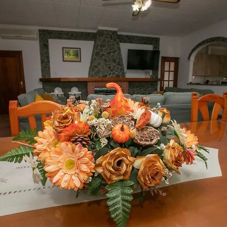 El Olmo Casa rural *