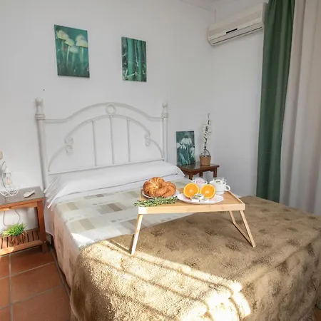El Olmo Casa rural Posadas