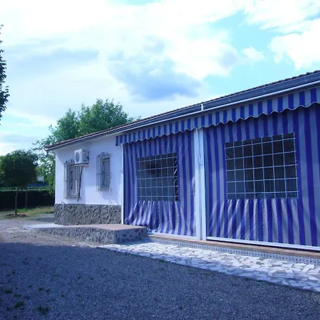 El Olmo